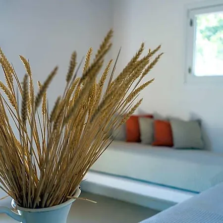 Rhenia Mykonos & Hotel 4*