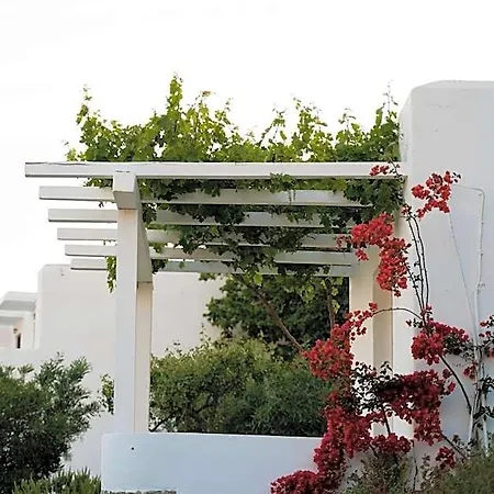 Rhenia Mykonos & Hotel 4*